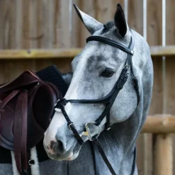 Jump'In - Bridon muserolle croisée Evolution noir