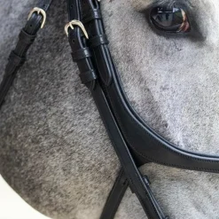 Jump'In - Bridon muserolle croisée Evolution noir