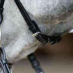 Jump'In - Bridon muserolle croisée Evolution noir