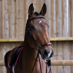 Jump'In - Bridon muserolle allemande Evolution noisette