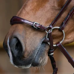 Jump'In - Bridon muserolle allemande Evolution noisette