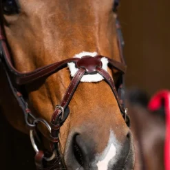 Jump'In - Bridon muserolle croisée Evolution noisette