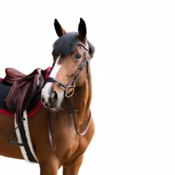 Jump'In - Bridon muserolle allemande Evolution havane