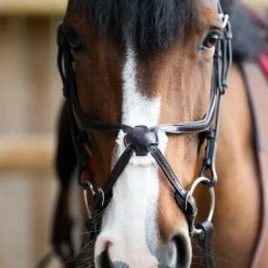 Jump'In - Bridon muserolle croisée Evolution havane