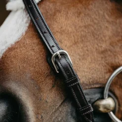 Jump'In - Bridon muserolle croisée Evolution havane