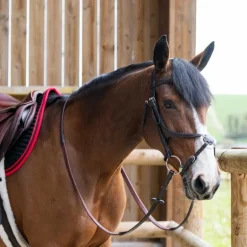 Jump'In - Bridon muserolle croisée Evolution havane