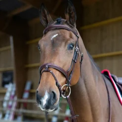 Jump'In - Bridon muserolle combinée Evolution noisette