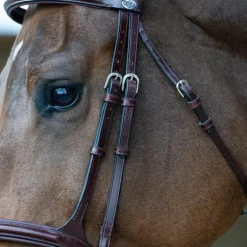 Jump'In - Bridon muserolle combinée Evolution noisette