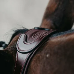 Jump'In - Bridon muserolle combinée Evolution noisette