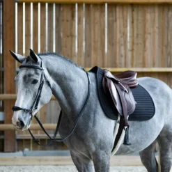 Jump'In - Bridon muserolle allemande Evolution noir