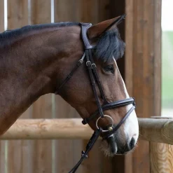 Jump'In - Bridon muserolle combinée Evolution havane