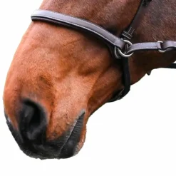 Jump'In - Bridon One bitless noisette