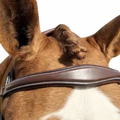 Jump'In - Bridon One Bruxelles avec rênes Noisette