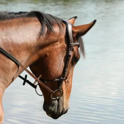 Jump'In - Bridon One liberty noisette/ noir