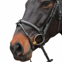 Jump'In - Bridon One Premium Clincher noisette