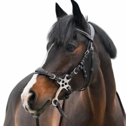 Jump'In - Bridon One Premium Hackamore havane