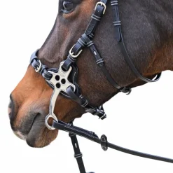 Jump'In - Bridon One Premium Hackamore havane