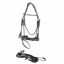 Jump'In - Bridon Week Friday avec rênes