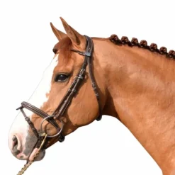 Jump'In - Bridon Week Monday avec rênes