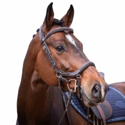 Jump'in - Bridon Week Summer havane