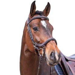 Jump'in - Bridon Week Summer havane