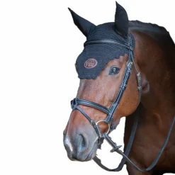 Jump'In - Bridon Week Tuesday avec rênes