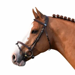 Jump'In - Bridon Week Tuesday avec rênes