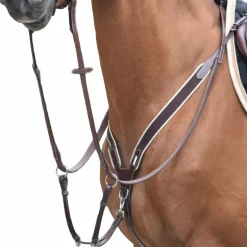 Jump'In - Collier de chasse élastique + martingale One Noisette