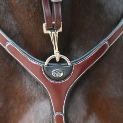 Jump'In - Collier de chasse et fourche de martingale Premium Clincher havane