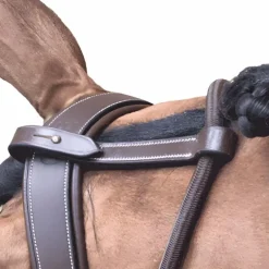 Jump'In - Enrênement Patrick