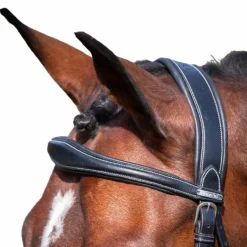 Jump'In - Frontal Bruxelles collection One noir