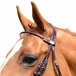 Jump'In - Frontal Monday rond Week