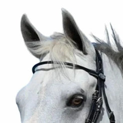 Jump'In - Frontal Monday rond Week