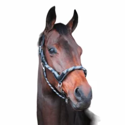 Jump'In - Licol cheval One Travel noir