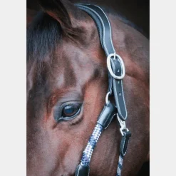 Jump'In - Licol cheval One Travel noir