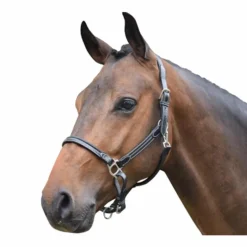 Jump'In - Licol cheval Week de pansage Noir