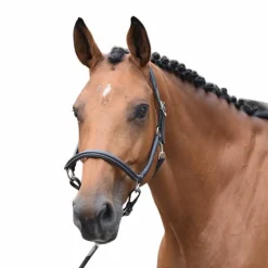 Jump'In - Licol de pansage One Noir