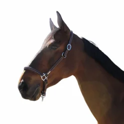 Jump'In - Licol de pansage One Noir