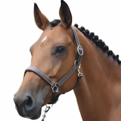 Jump'In - Licol Fancy One Noisette