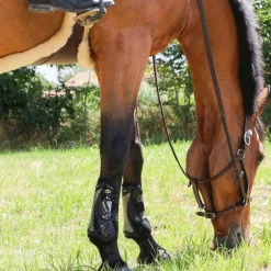 Jump'In - Licol Fancy One Noisette