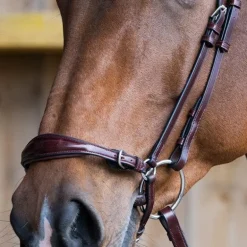 Jump'In - Muserolle allemande Evolution noisette