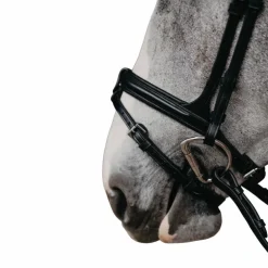 Jump'In - Muserolle combinée Evolution noir