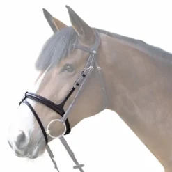 Jump'In - Muserolle combinée Evolution havane