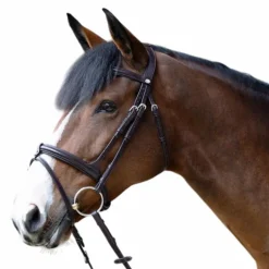 Jump'In - Muserolle combinée Evolution havane