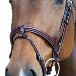 Jump'In - Muserolle combinée Evolution noisette