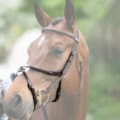 Jump'In - Muserolle croisée Evolution havane