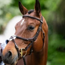 Jump'In - Muserolle croisée Evolution havane