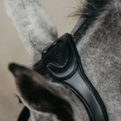 Jump'In - Têtière + rênes Evolution noir