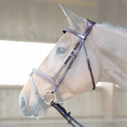 Jump'In - Têtière + rênes Evolution noisette