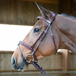 Jump'In - Têtière + rênes Evolution noisette